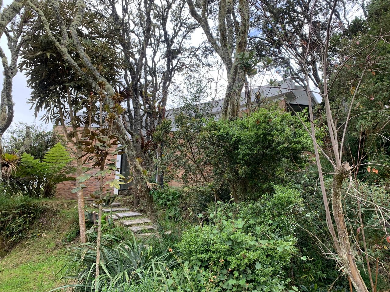 Casa en venta en El Hato, La Calera · foto 4 de 20