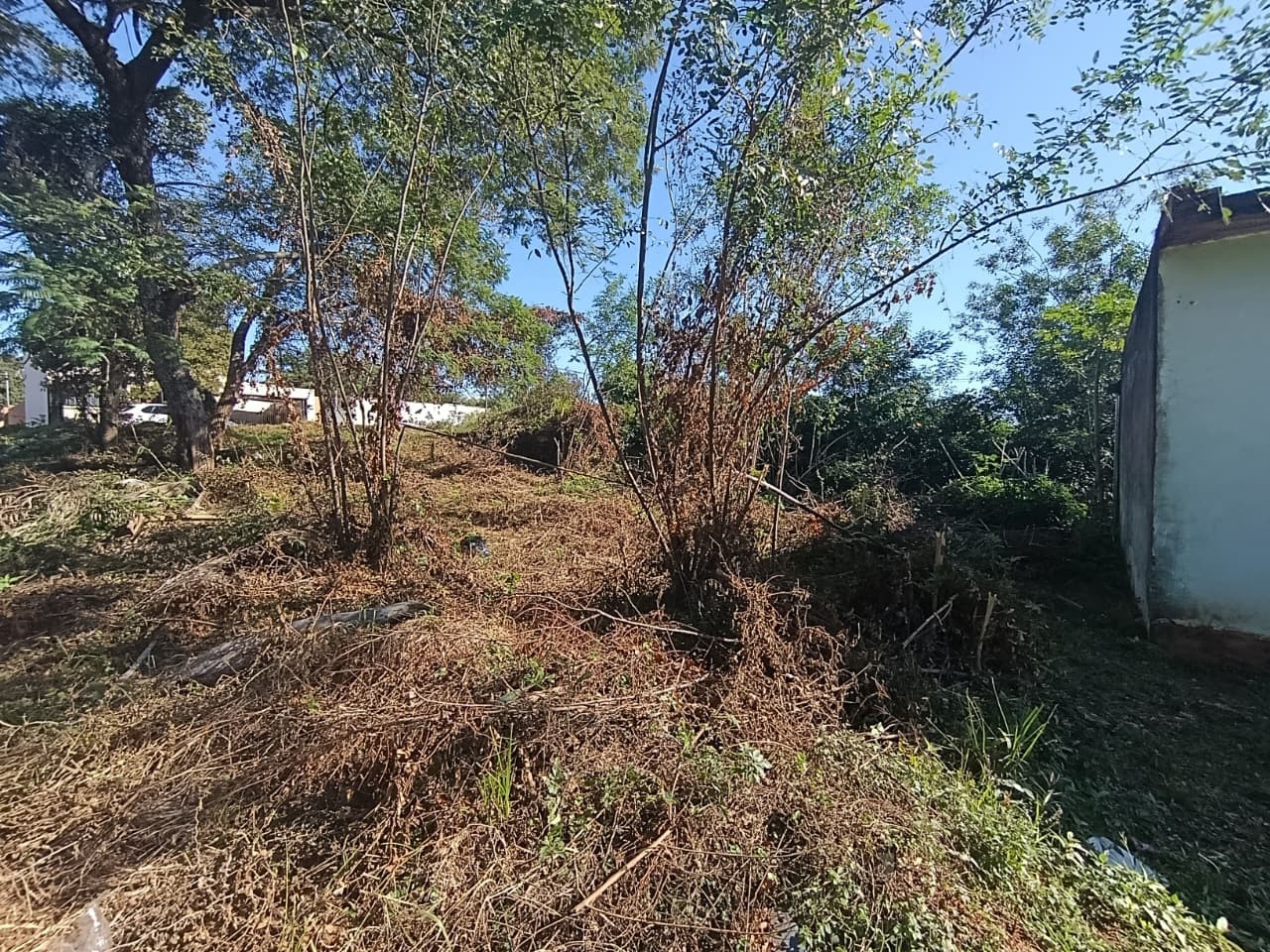 VENDO TERRENO ZONA RAKIURA - foto 4