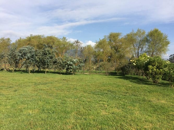 Lote en venta en San Jose De La Concepcion, La Calera · foto 3 de 22