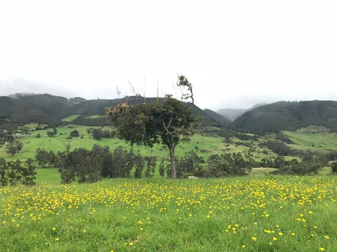 Lote en venta en San Jose De La Concepcion, La Calera · foto 4 de 22