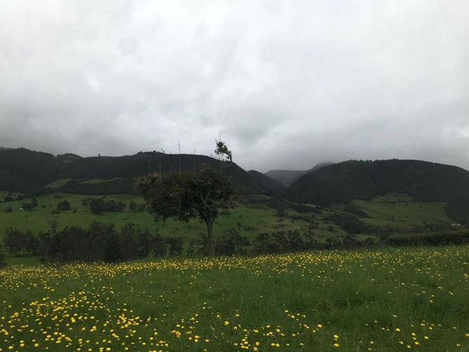 Lote en venta en San Jose De La Concepcion, La Calera · foto 9 de 22