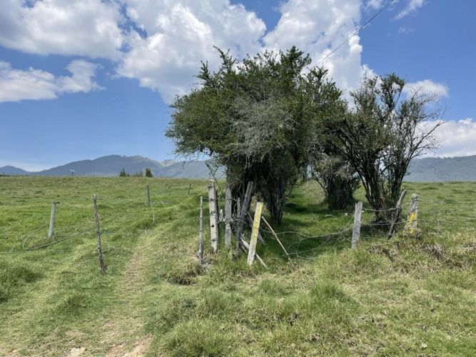 Lote en venta en El Volcan, La Calera · foto 4 de 24