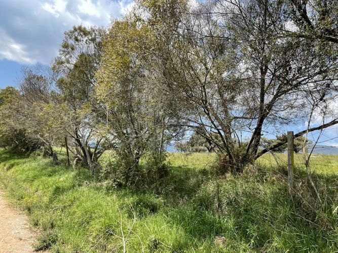 Lote en venta en El Volcan, La Calera · foto 9 de 24