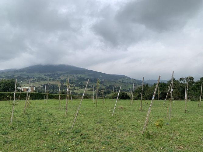 Lote en venta en Valle Alto, La Calera, 2116 m² · foto 9 de 14