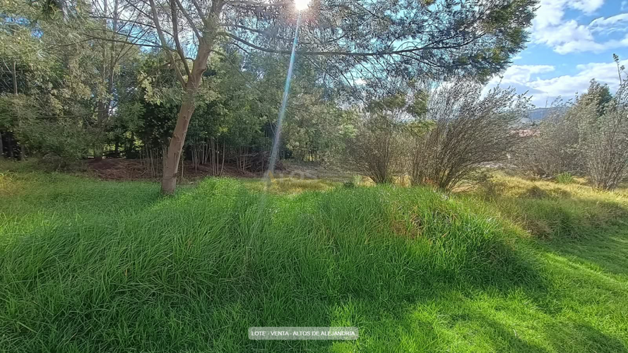 Lote en venta en Tunja, Tunja, 263 m² · foto 5 de 8