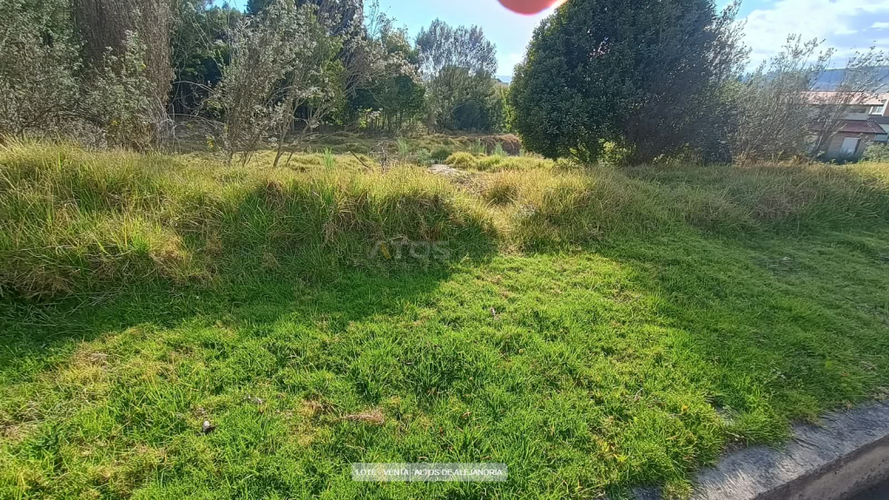 Lote en venta en Tunja, Tunja, 263 m² · foto 6 de 8