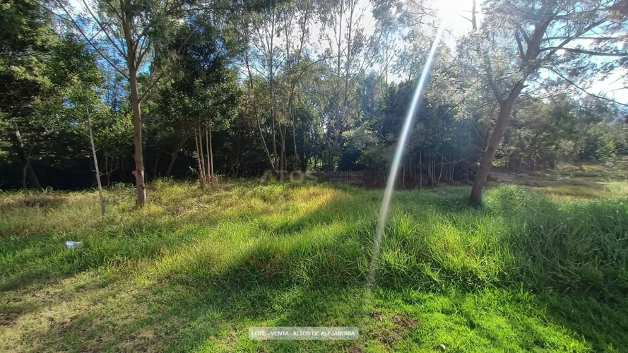 Lote en venta en Tunja, Tunja, 263 m² · foto 8 de 8