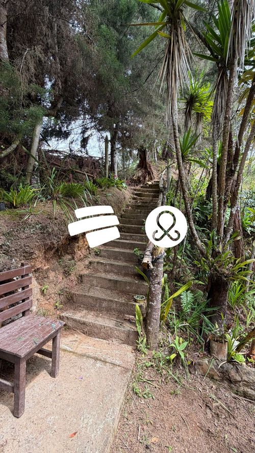 Finca en venta en Laureles, Medellín, 4781 m² · foto 7 de 24