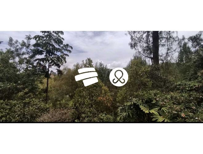 Finca en venta en Laureles, Medellín, 4781 m² · foto 16 de 24