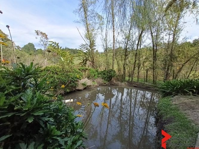 Casa de 4 alcobas en arriendo en San Jose, Guarne, 190 m² · foto 18 de 20