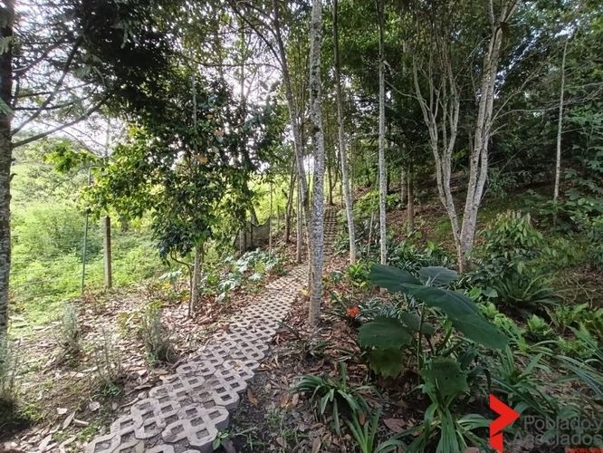 Casa de 4 alcobas en arriendo en San Jose, Guarne, 190 m² · foto 19 de 20