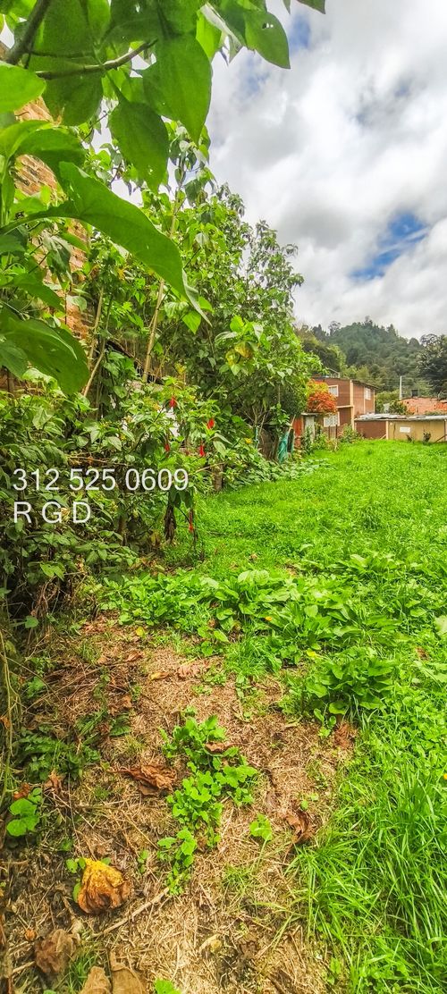 Lote en venta en Montana, Sopó, 270 m² · foto 9 de 12