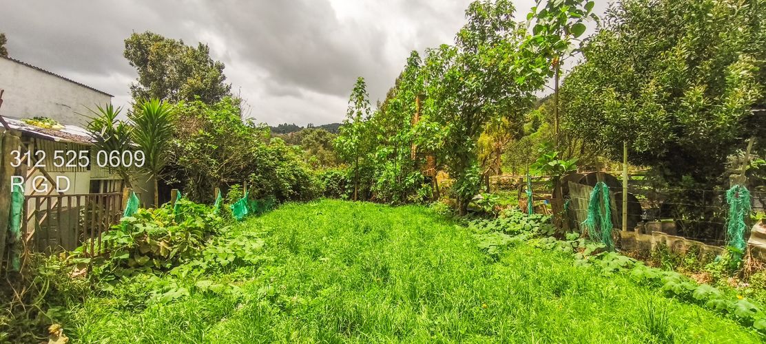 Lote en venta en Montana, Sopó, 270 m² · foto 4 de 12