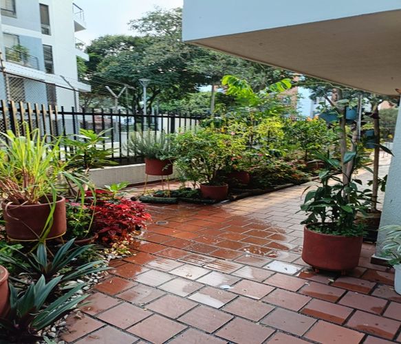 Apartamento de 4 alcobas en venta en Cuarto De Legua - Guadalupe, Cali, 470 m² · foto 18 de 24