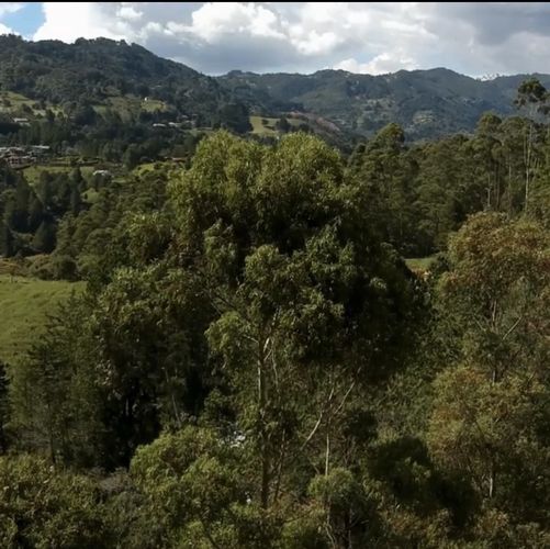 Lote en venta en El Tablazo, Rionegro, 2570 m² · foto 14 de 14