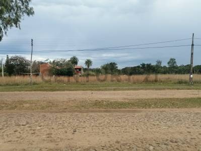 En Venta Terreno Premium de 1.300 m² en San Bernardino — foto 3