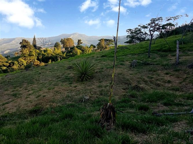 Lote en venta en Zona Industrial, Yumbo, 3232 m² · foto 5 de 24
