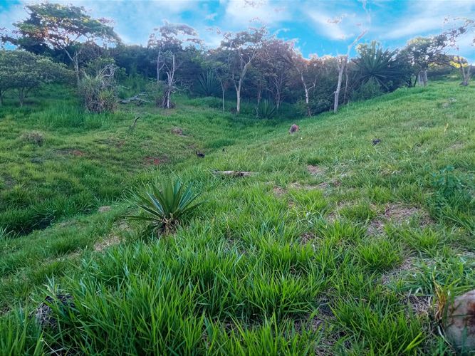 Lote en venta en Zona Industrial, Yumbo, 3232 m² · foto 6 de 24