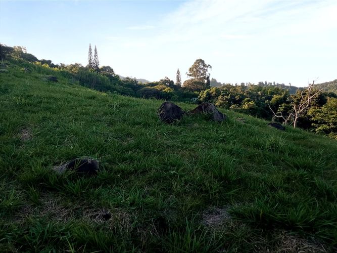 Lote en venta en Zona Industrial, Yumbo, 3232 m² · foto 13 de 24