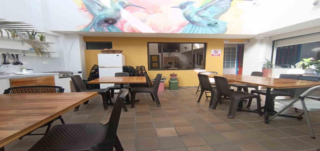 Casa de 17 alcobas en arriendo en Belen, Manizales, 510 m² · foto 2 de 24