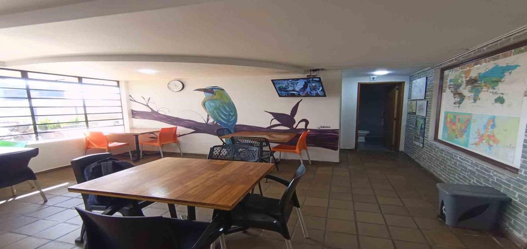 Casa de 17 alcobas en arriendo en Belen, Manizales, 510 m² · foto 13 de 24