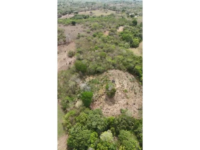 Lote en venta en El Choro, Cartagena · foto 8 de 17