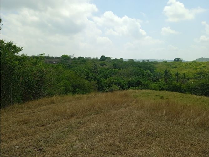 Lote en venta en El Choro, Cartagena · foto 9 de 17