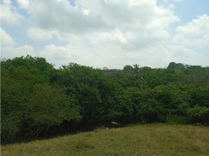 Lote en venta en El Choro, Cartagena · foto 11 de 17
