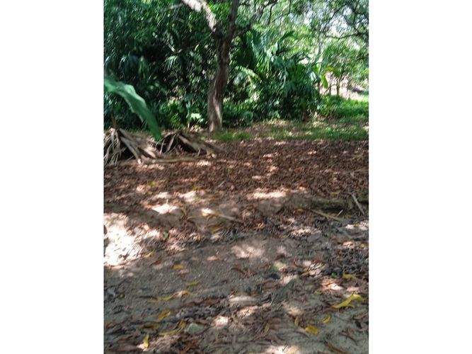 Lote en venta en El Choro, Cartagena · foto 12 de 17