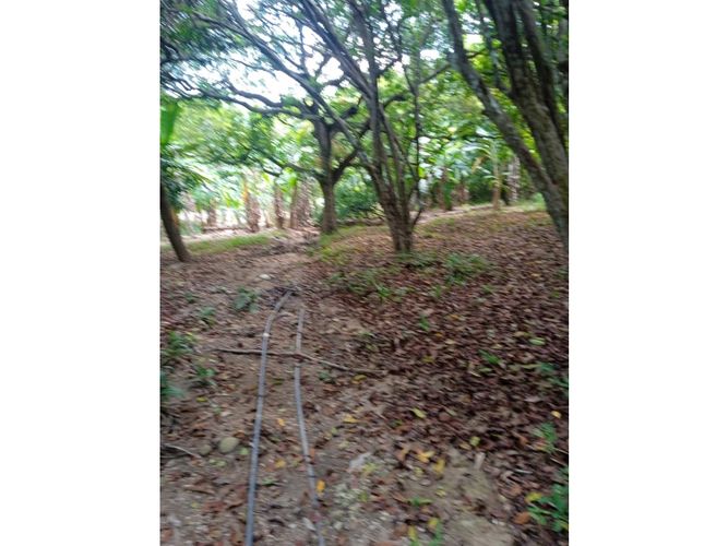 Lote en venta en El Choro, Cartagena · foto 13 de 17