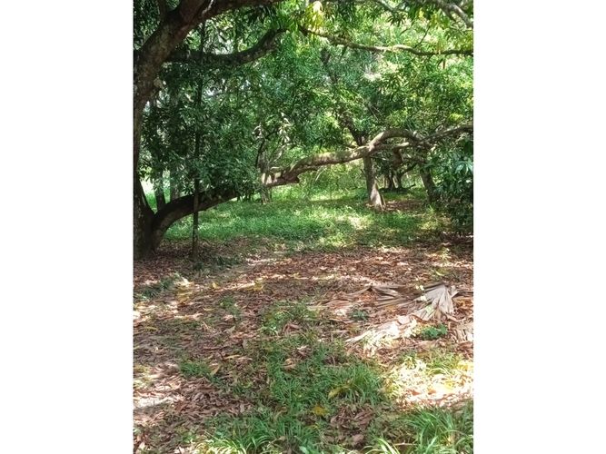 Lote en venta en El Choro, Cartagena · foto 14 de 17