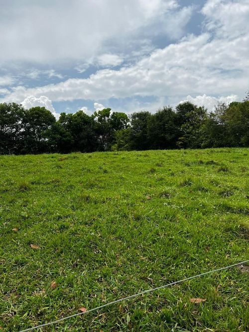 Lote en venta en Tablones, Palmira, 3140 m² · foto 2 de 11