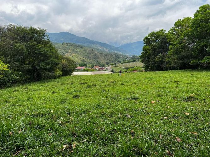 Lote en venta en Tablones, Palmira, 3140 m² · foto 3 de 11