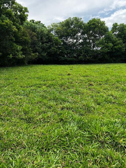 Lote en venta en Tablones, Palmira, 3140 m² · foto 6 de 11
