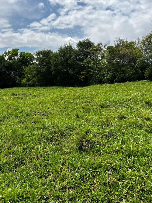Lote en venta en Tablones, Palmira, 3140 m² · foto 4 de 11