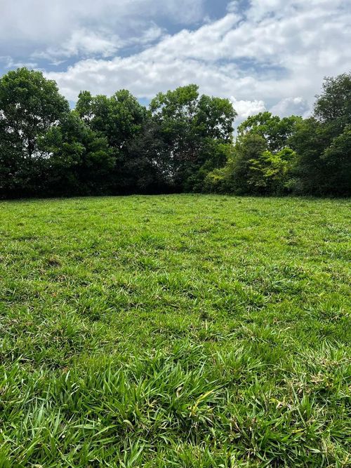 Lote en venta en Tablones, Palmira, 3140 m² · foto 5 de 11