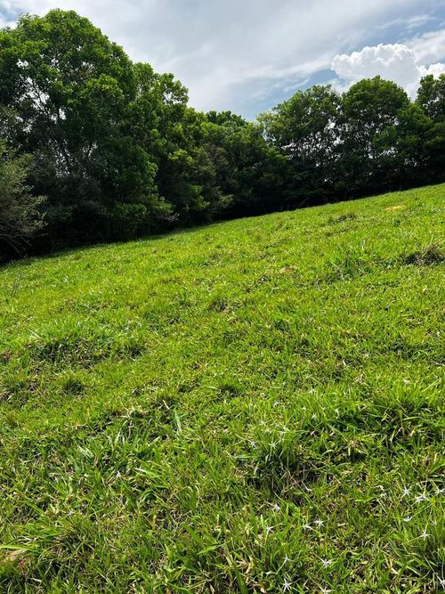 Lote en venta en Tablones, Palmira, 3140 m² · foto 7 de 11