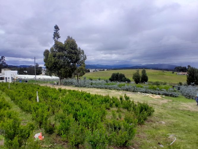 Lote en venta en Canavita, Tocancipá, 30247 m² · foto 3 de 6