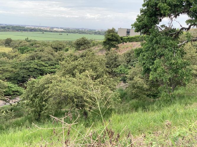 Lote en venta en Arroyohondo, Yumbo, 3580 m² · foto 2 de 9