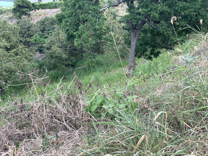 Lote en venta en Arroyohondo, Yumbo, 3580 m² · foto 7 de 9
