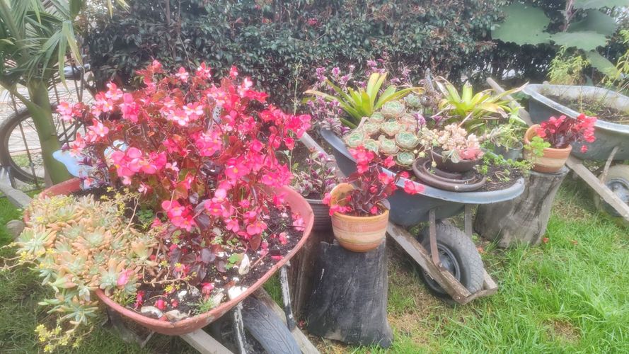 Casa de 7 alcobas en venta en Puente Vargas, Cajicá, 430 m² · foto 24 de 24