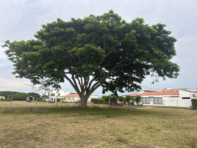 Lote en venta en Matapalo, Palmira, 1623 m² · foto 2 de 7