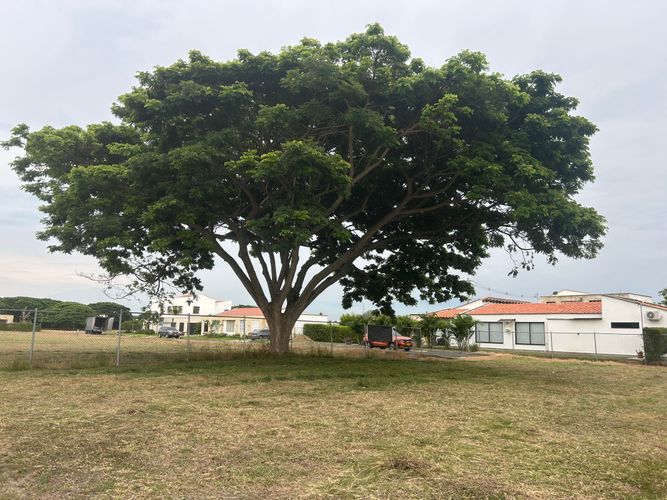 Lote en venta en Matapalo, Palmira, 1623 m² · foto 3 de 7