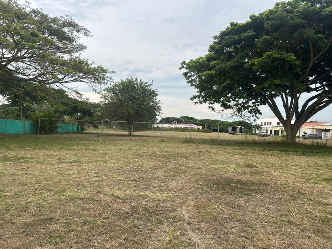 Lote en venta en Matapalo, Palmira, 1623 m² · foto 4 de 7