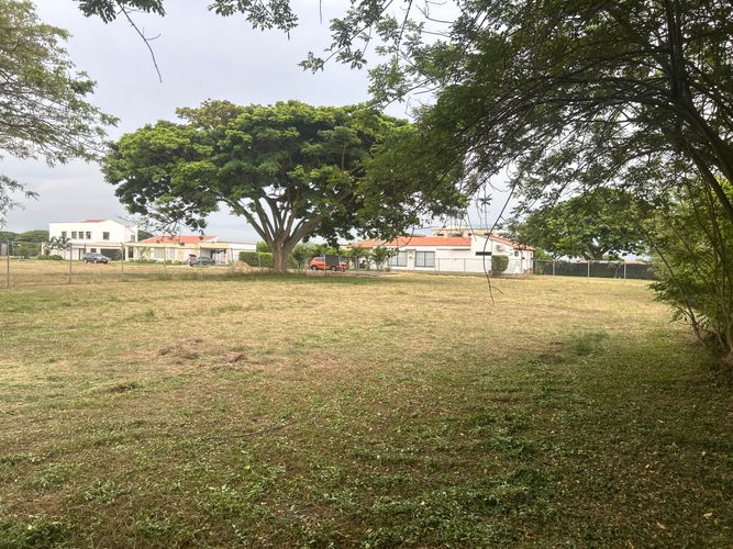 Lote en venta en Matapalo, Palmira, 1623 m² · foto 7 de 7