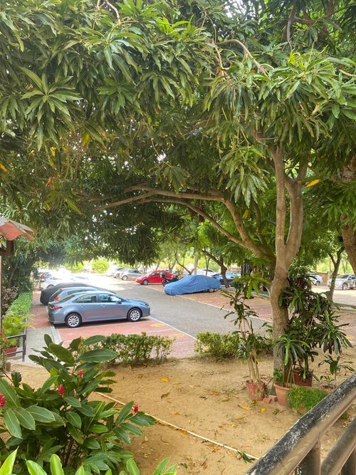 Apartamento de 3 alcobas en arriendo en Cr.Parque La 100, Barranquilla, 80 m² · foto 5 de 21