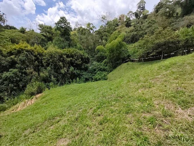 Lote en venta en Combia, Pereira, 2319 m² · foto 6 de 9