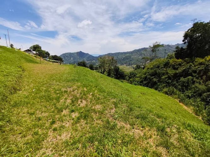 Lote en venta en Combia, Pereira, 2319 m² · foto 8 de 9