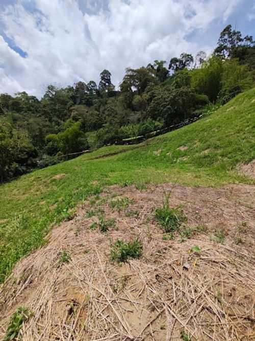 Lote en venta en Combia, Pereira, 2054 m² · foto 3 de 8