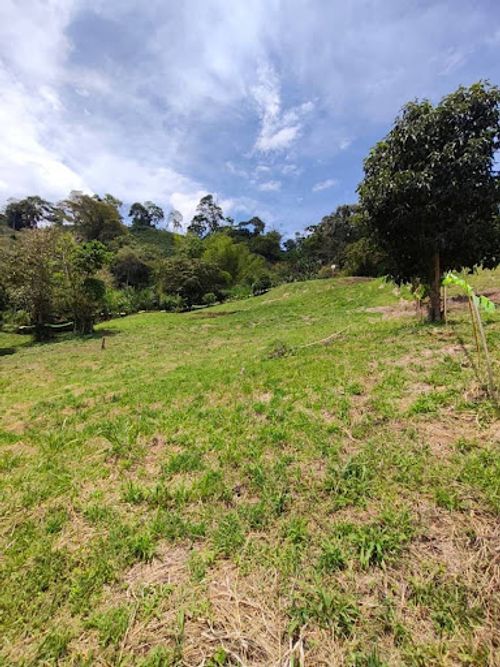 Lote en venta en Combia, Pereira, 2054 m² · foto 4 de 8